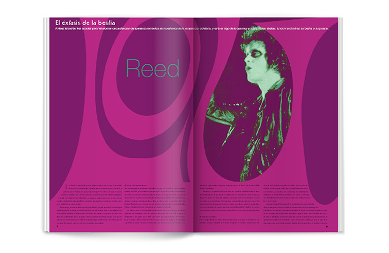 Páginas de la revista la mosca en la pared